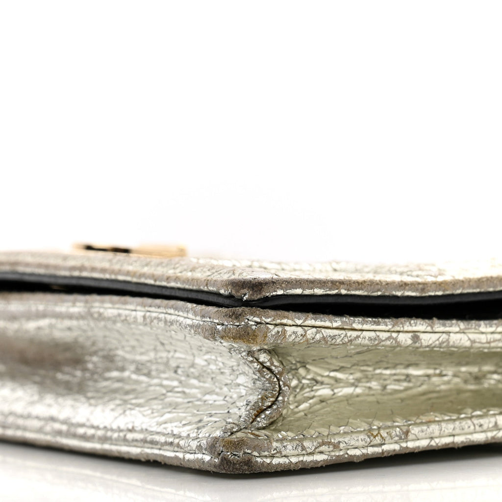 Metallic Ceramic Effect Deerskin Diorama Wallet on Chain Pouch Silver