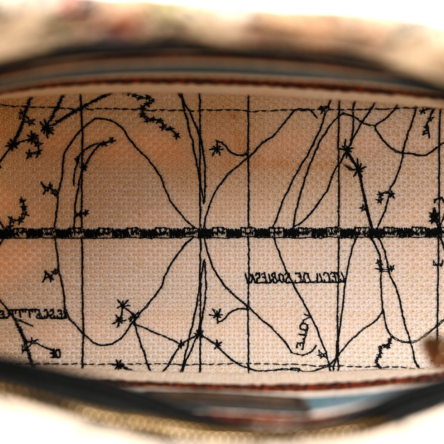 Canvas Constellation Embroidered Medium Lady D-Lite Latte Multicolor