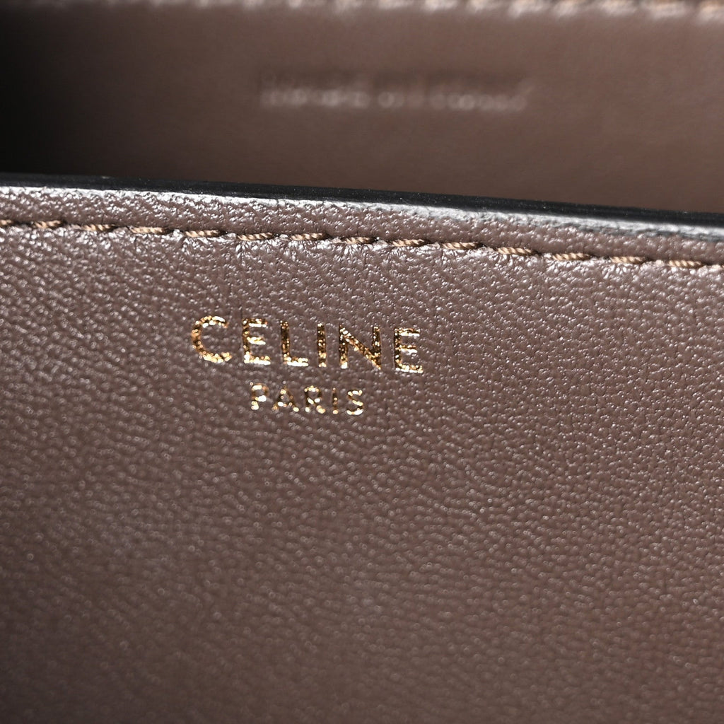 Lizard Small Classic Box Flap Bag Natural