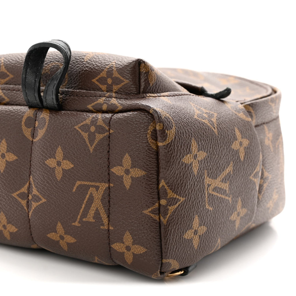 Monogram Palm Springs Backpack Mini