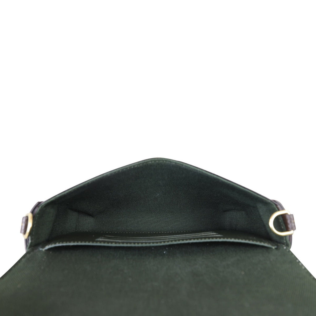Louis Vuitton Felicie Strap & Go Monogram