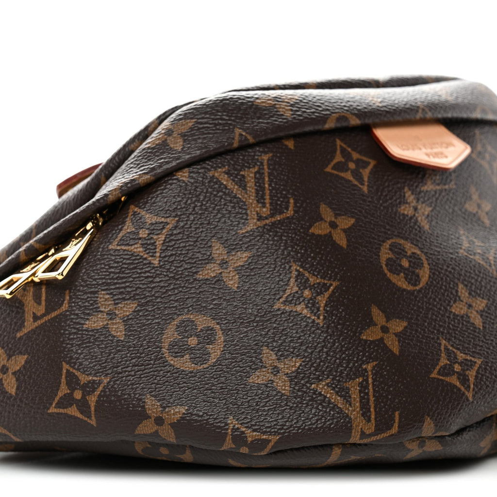 Monogram Bumbag