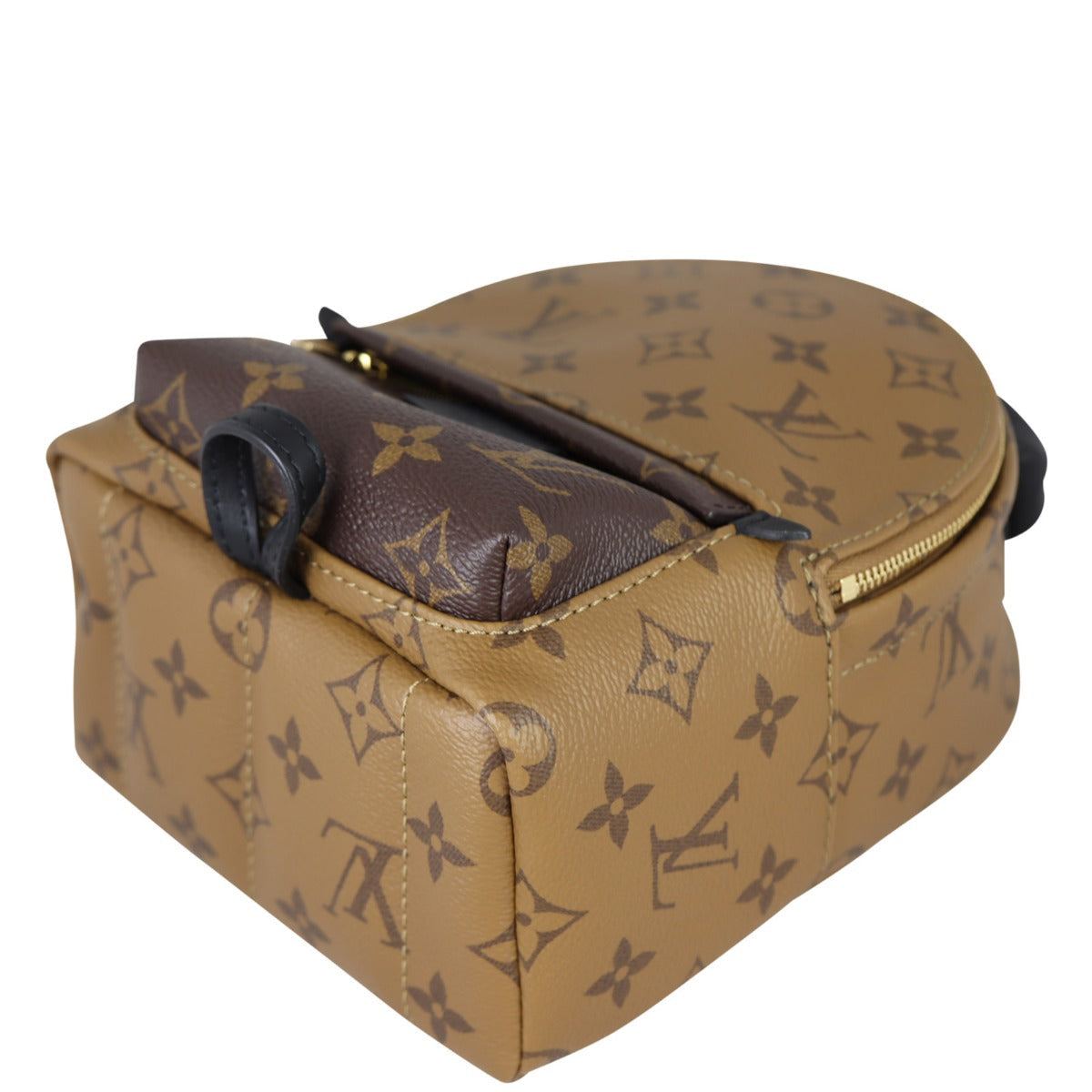 Louis Vuitton Palm Springs Mini Backpack Monogram Reverse