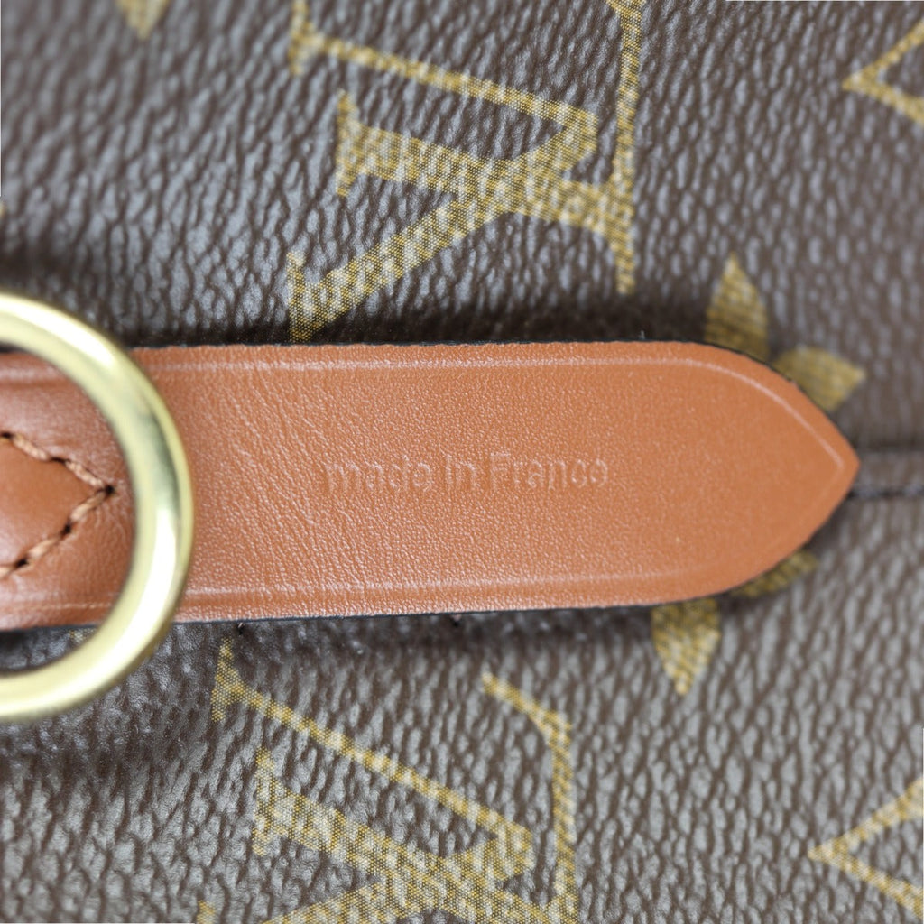 Louis Vuitton NeoNoe Monogram