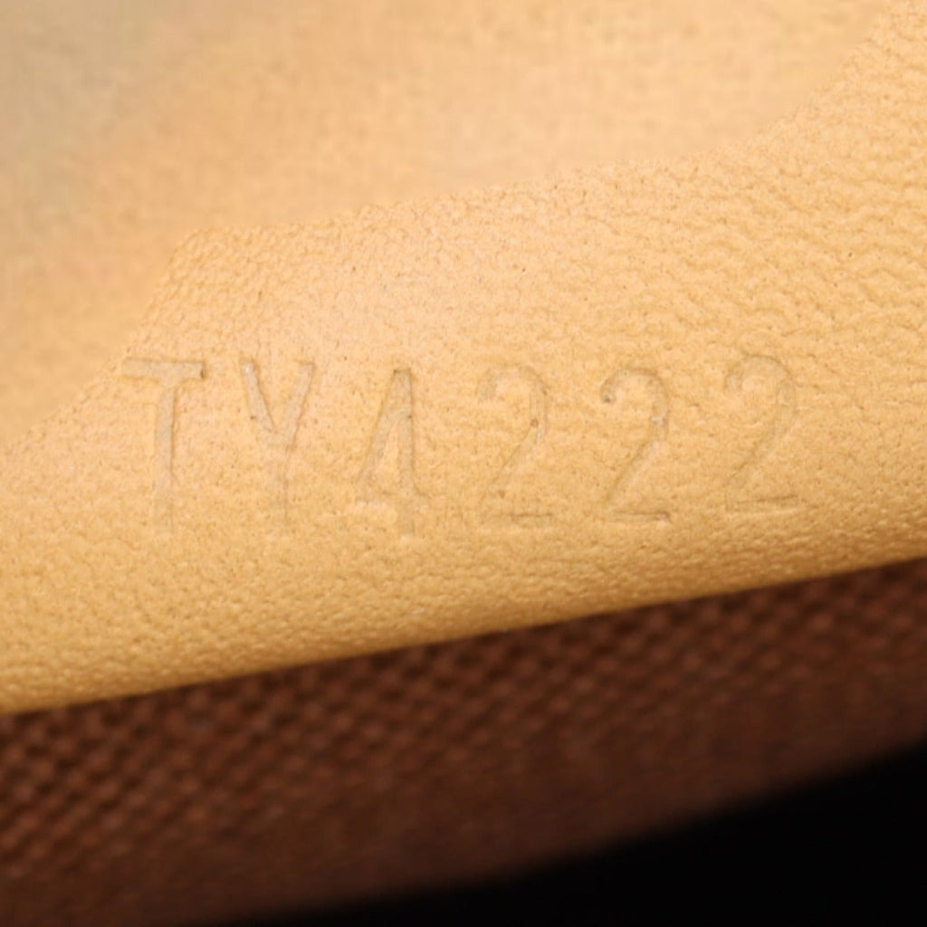 Louis Vuitton Nano Speedy Monogram
