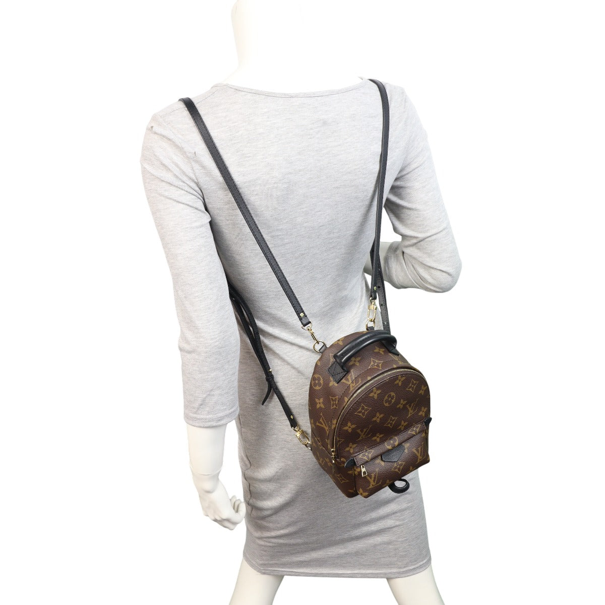Louis Vuitton Palm Springs Mini Backpack Monogram