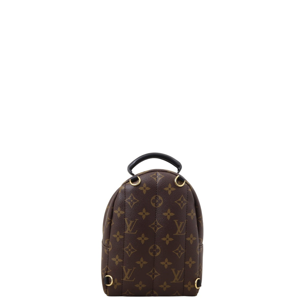 Louis Vuitton Palm Springs Mini Backpack Monogram