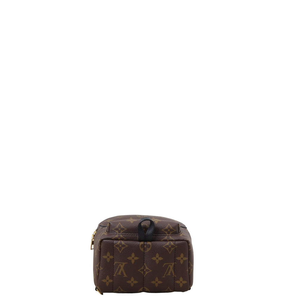 Louis Vuitton Palm Springs Mini Backpack Monogram