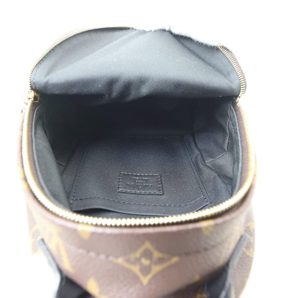Louis Vuitton Palm Springs Mini Backpack Monogram