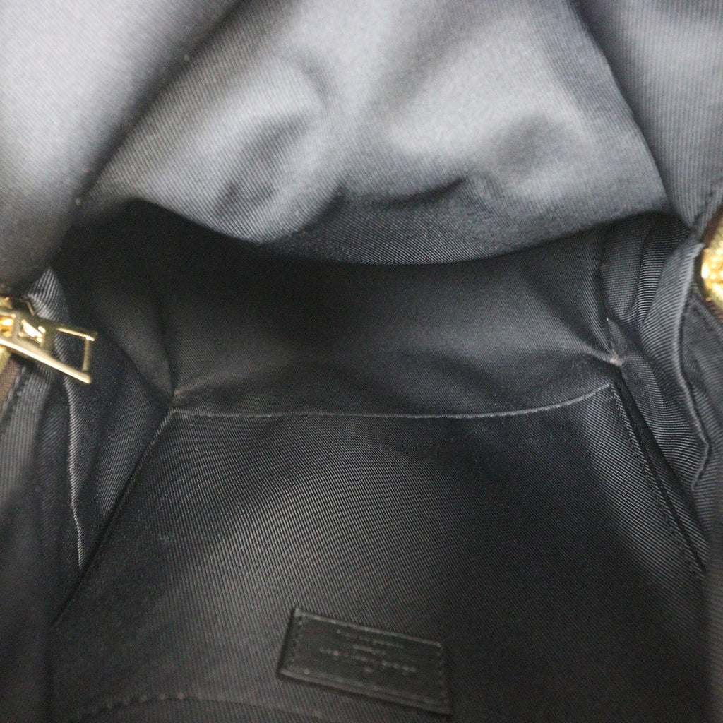 Louis Vuitton Palm Springs Backpack PM Monogram
