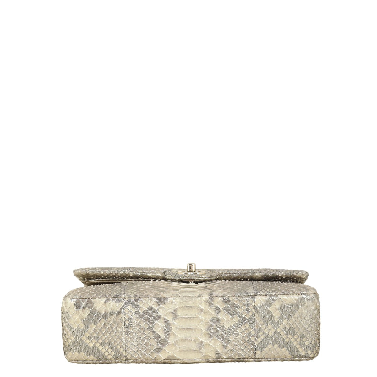 Chanel Classic Double Flap Medium Iridescent Python