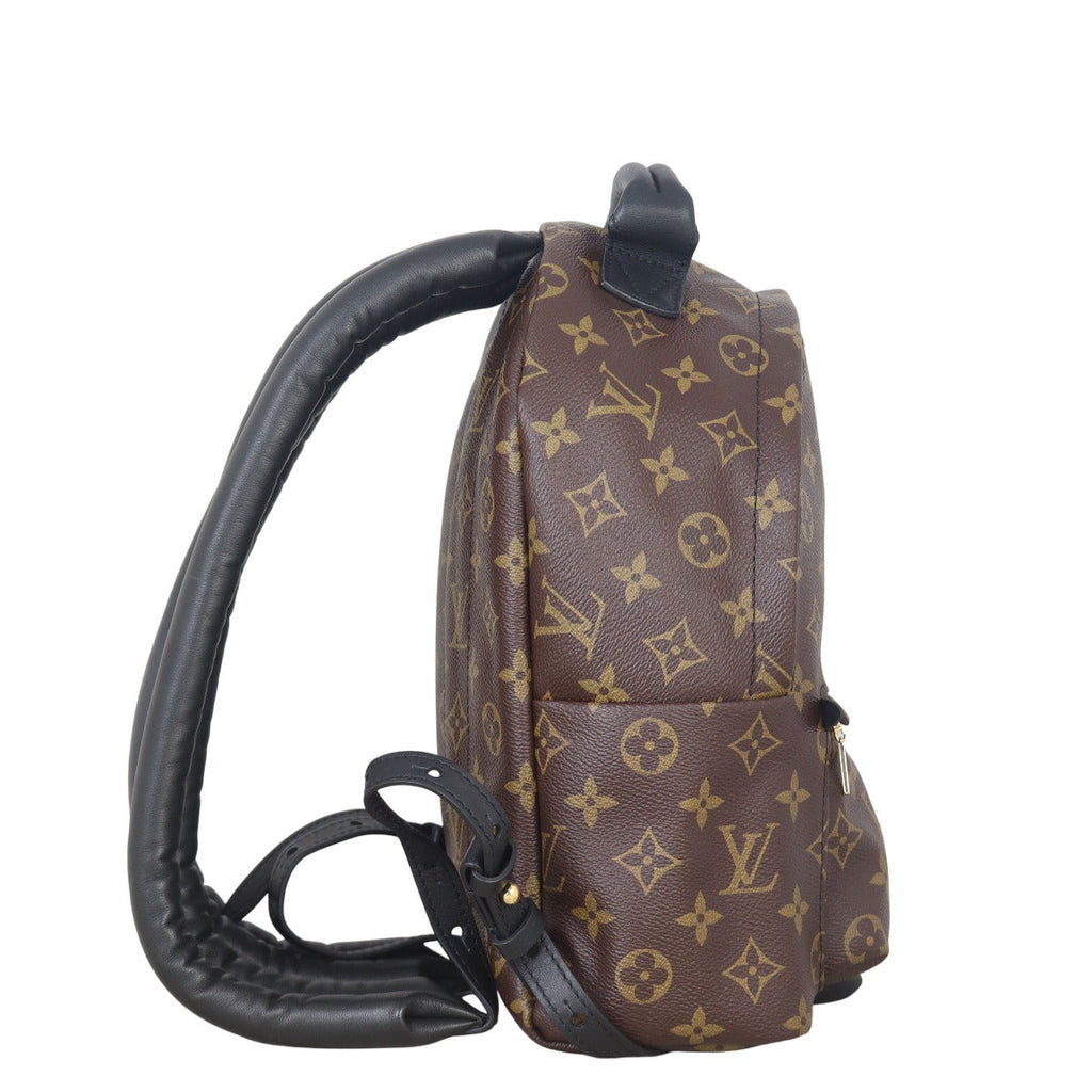 Louis Vuitton Palm Springs Backpack PM Monogram