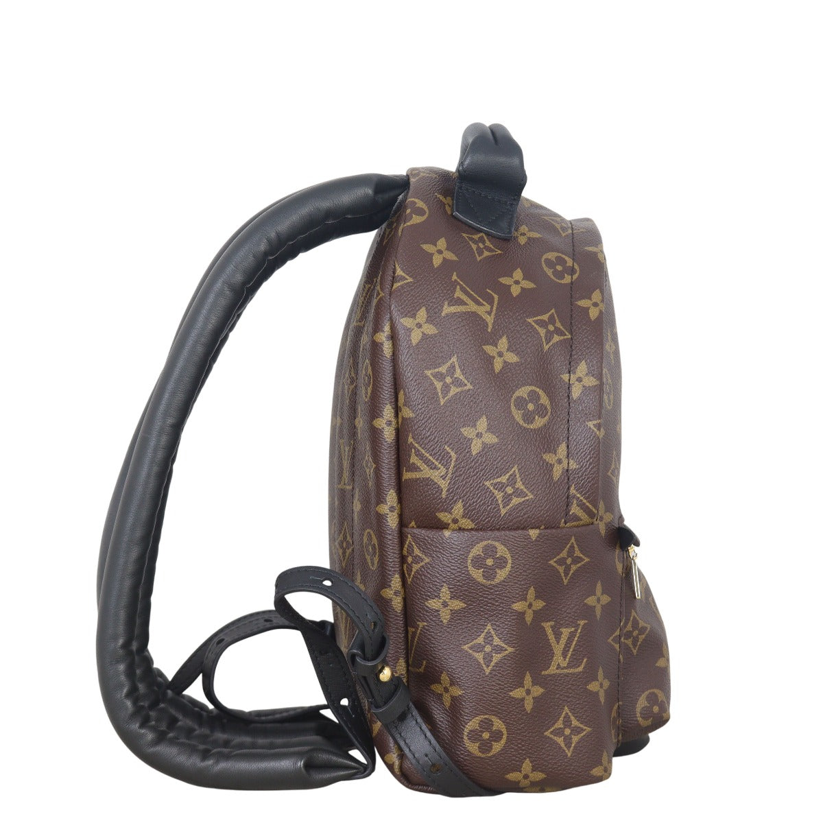 Louis Vuitton Palm Springs Backpack PM Monogram