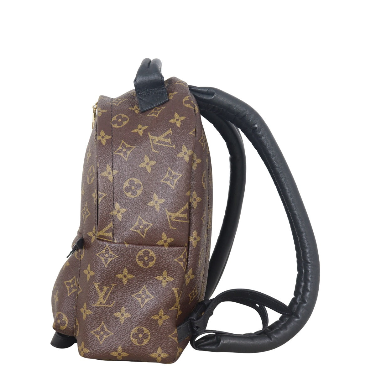 Louis Vuitton Palm Springs Backpack PM Monogram