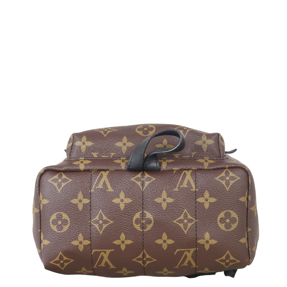 Louis Vuitton Palm Springs Backpack PM Monogram