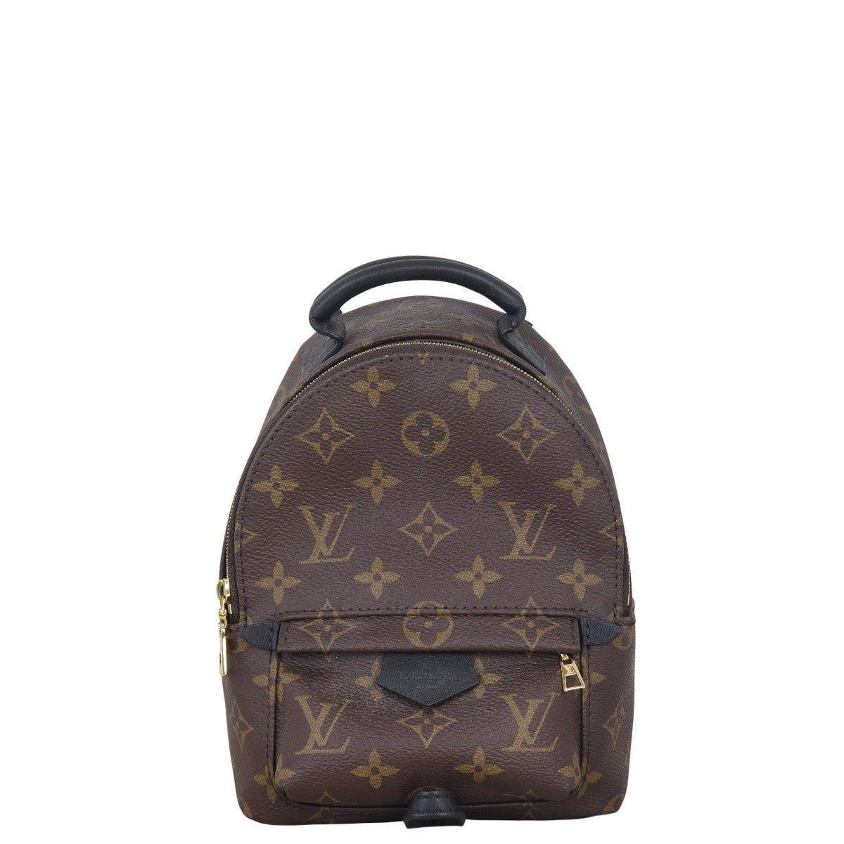 Louis Vuitton Palm Springs Mini Backpack Monogram