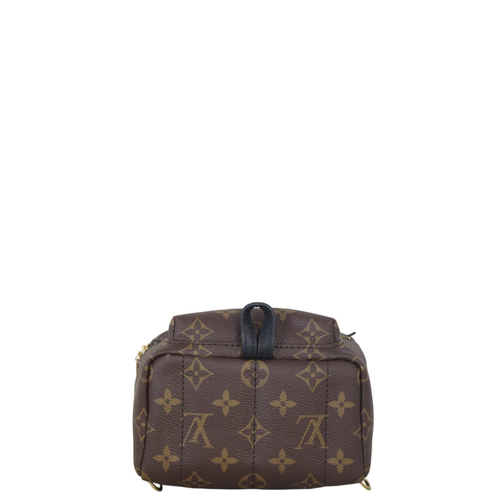Louis Vuitton Palm Springs Mini Backpack Monogram