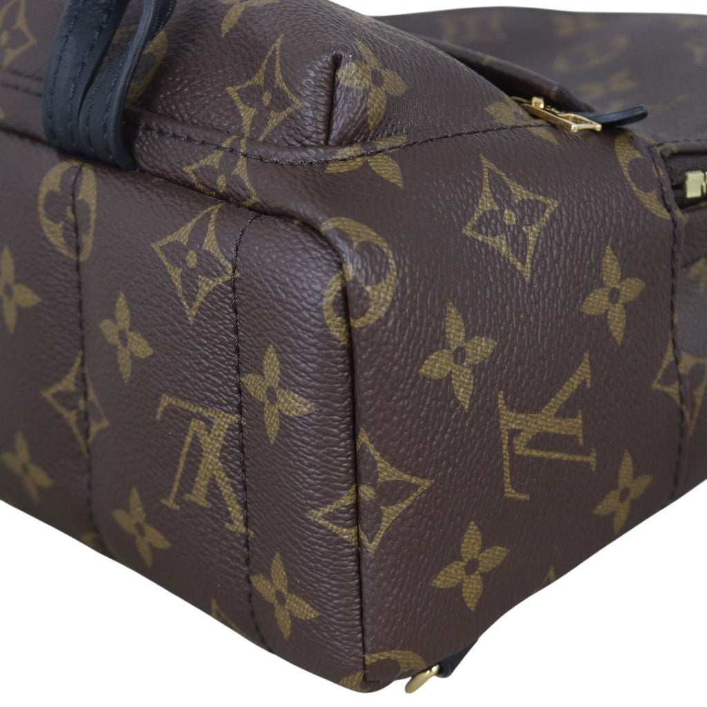 Louis Vuitton Palm Springs Mini Backpack Monogram