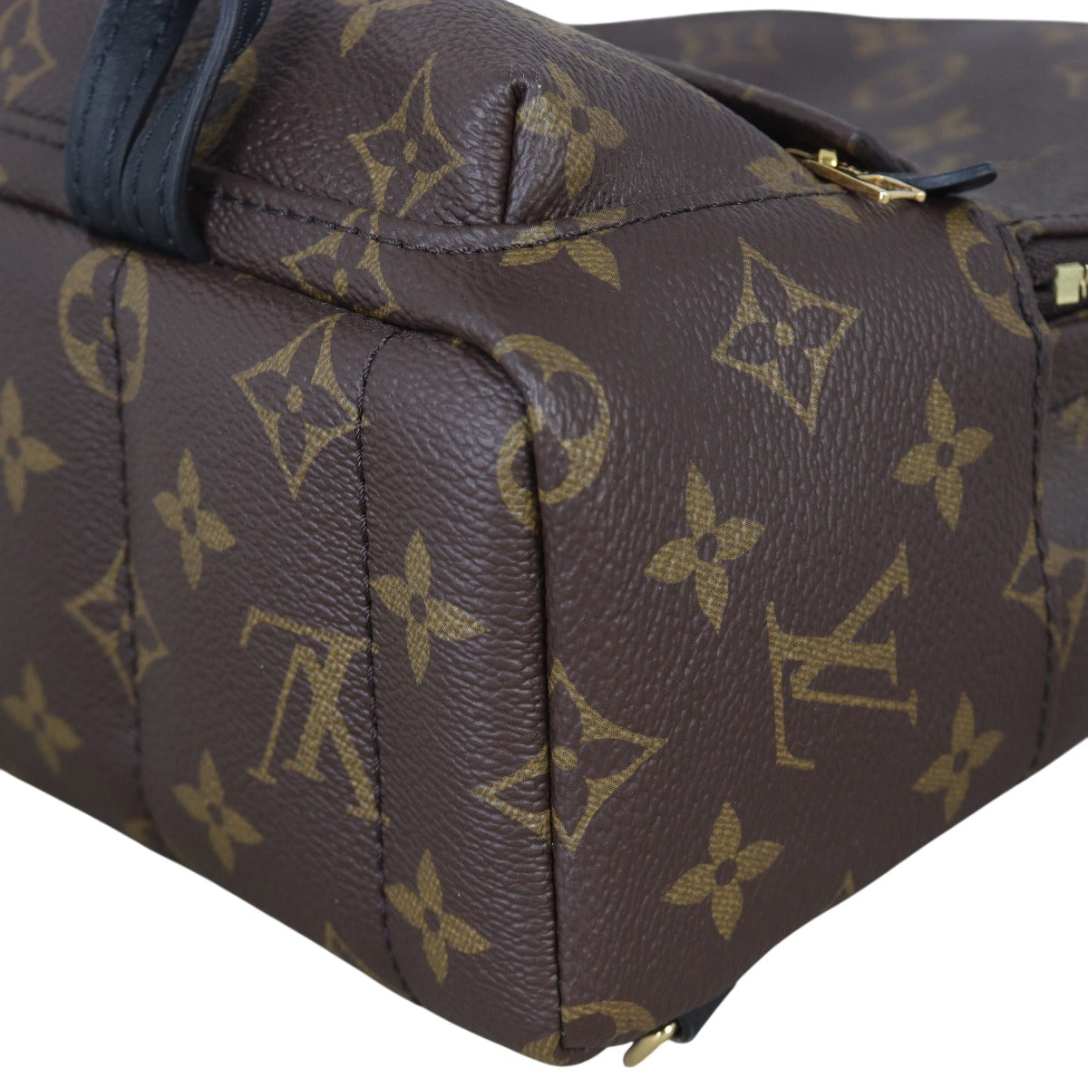 Louis Vuitton Palm Springs Mini Backpack Monogram
