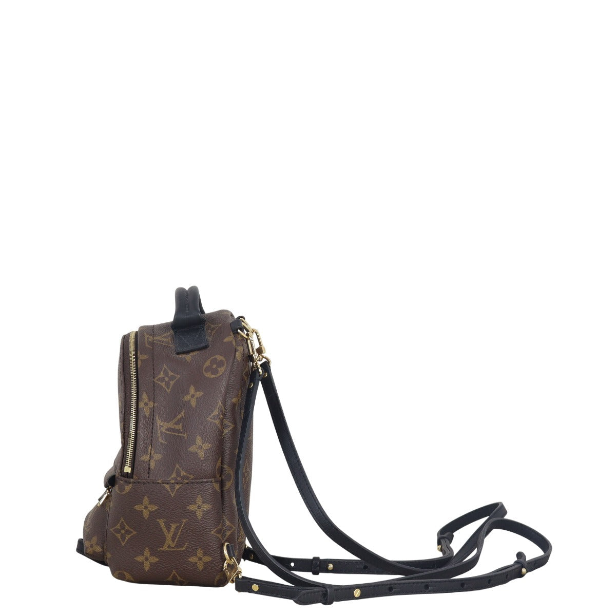 Louis Vuitton Palm Springs Mini Backpack Monogram