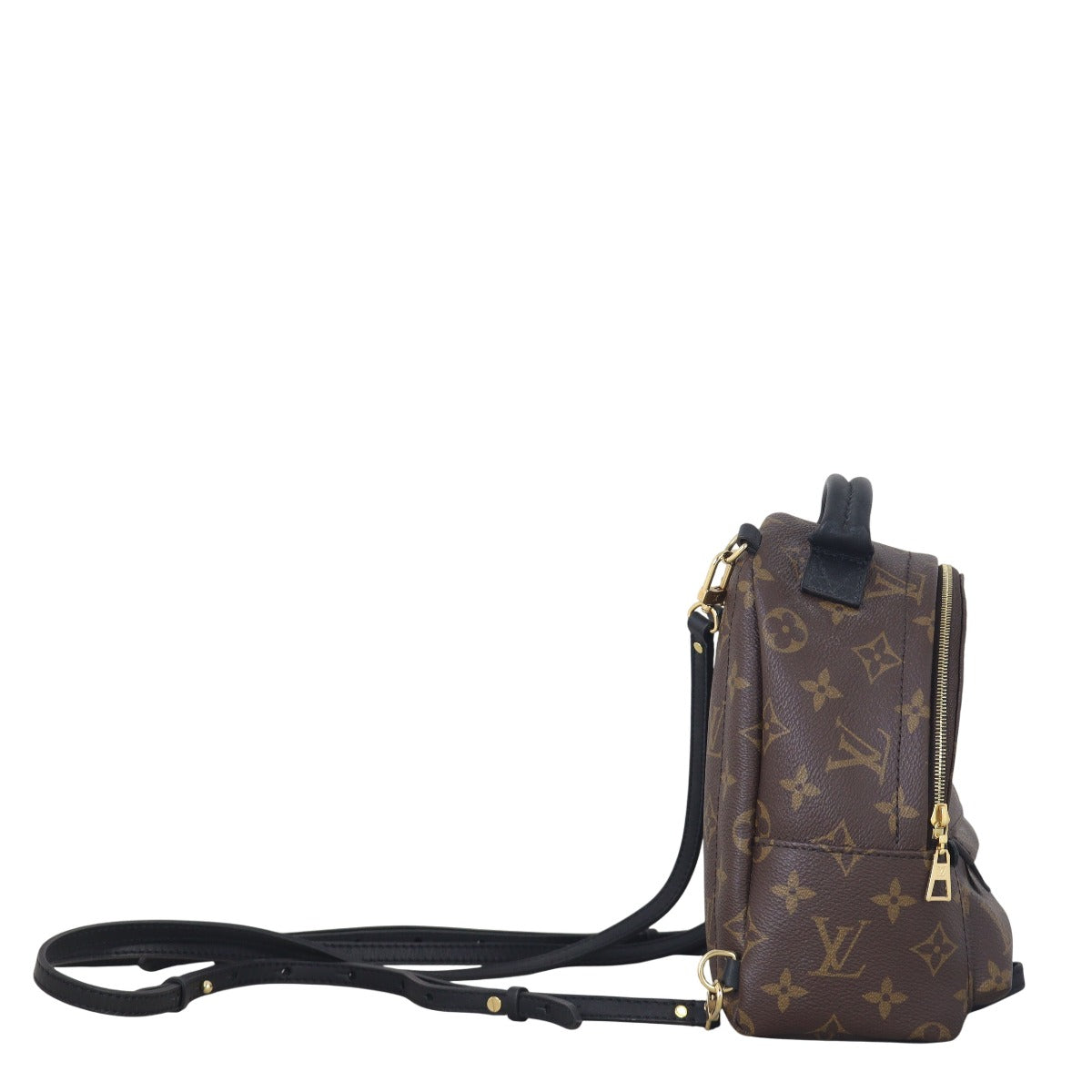 Louis Vuitton Palm Springs Mini Backpack Monogram