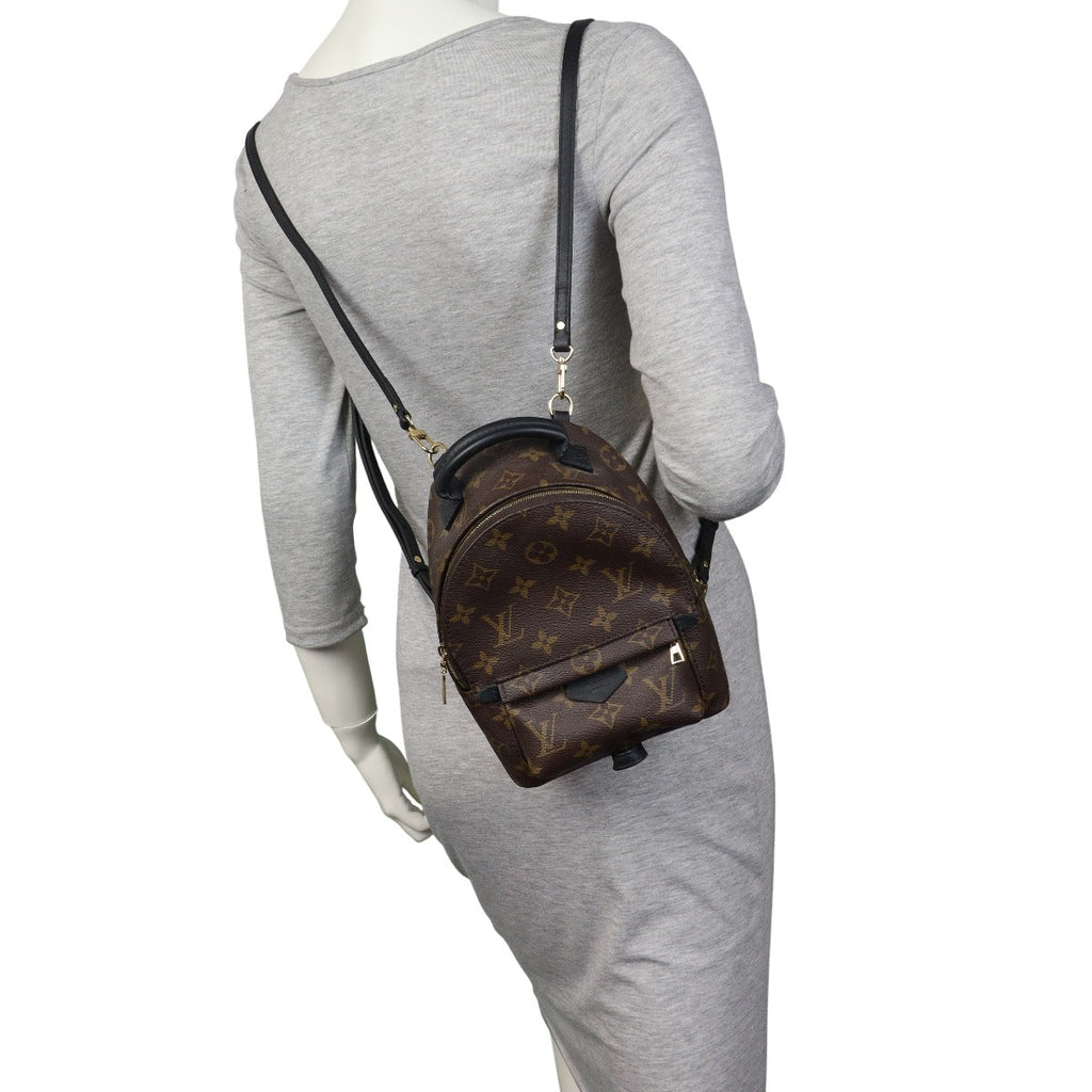 Louis Vuitton Palm Springs Mini Backpack Monogram