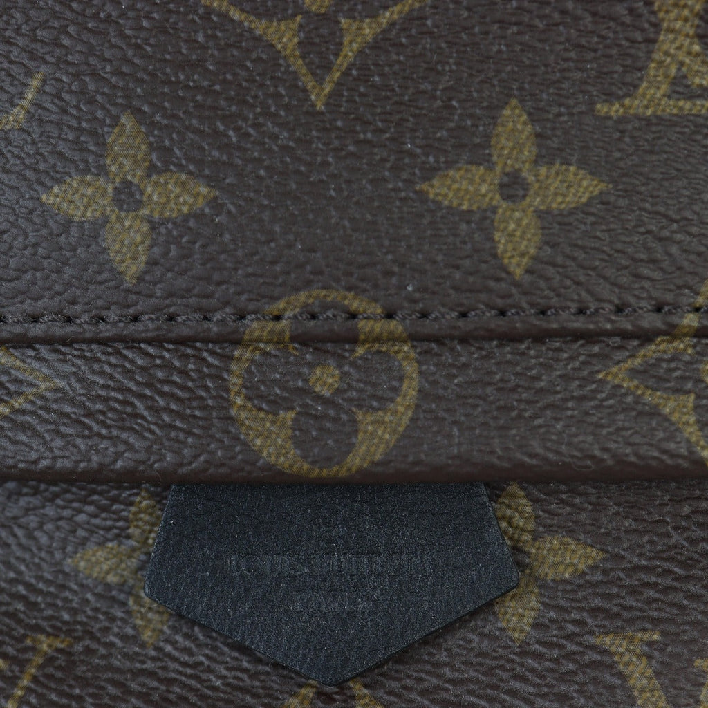 Louis Vuitton Palm Springs Mini Backpack Monogram