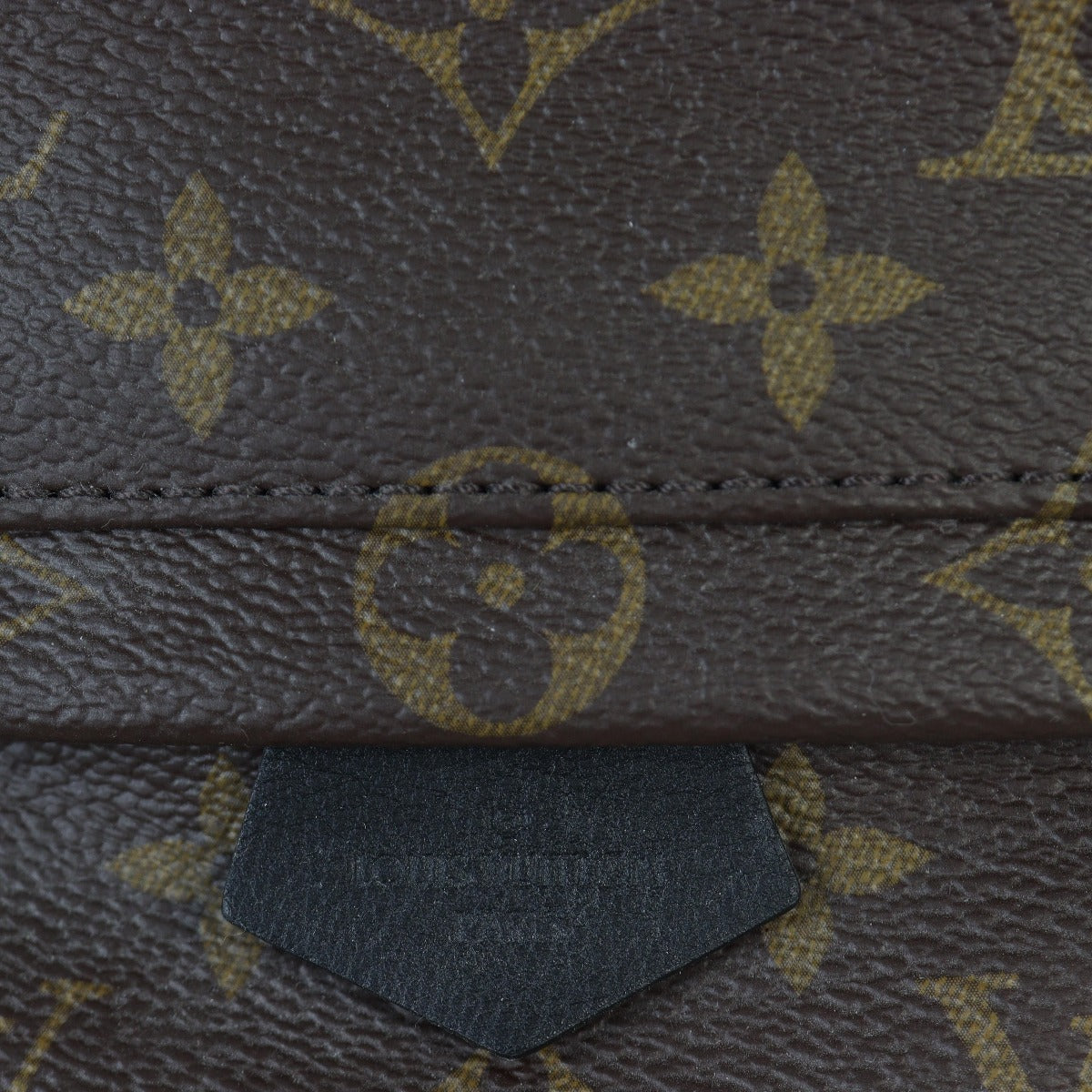 Louis Vuitton Palm Springs Mini Backpack Monogram