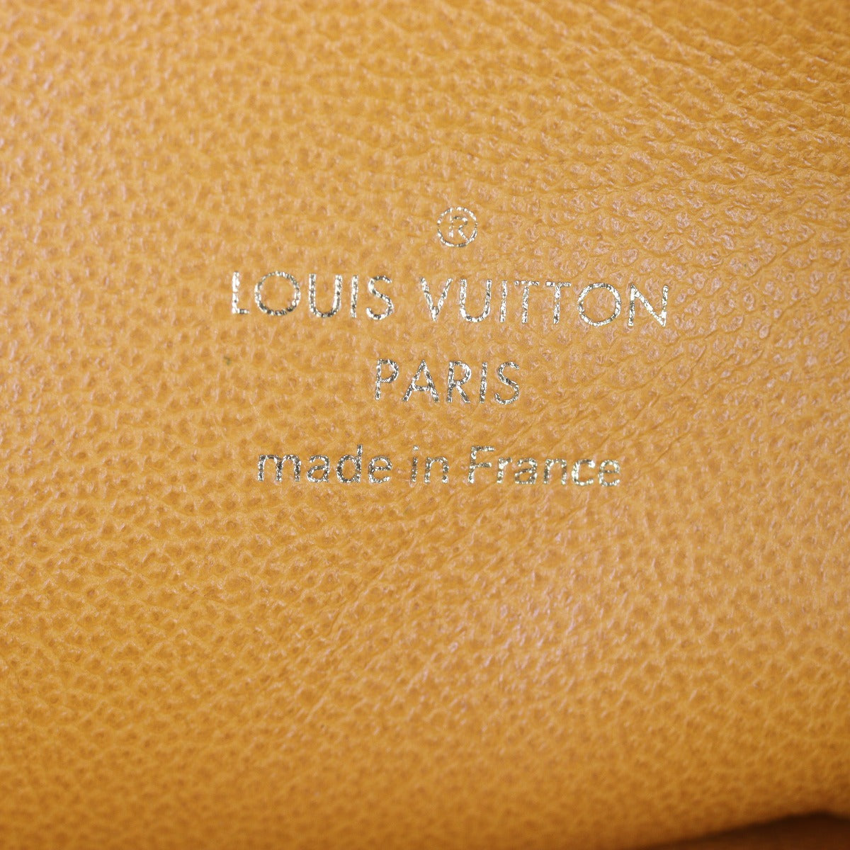 Louis Vuitton Coussin PM Monogram Embossed Lambskin