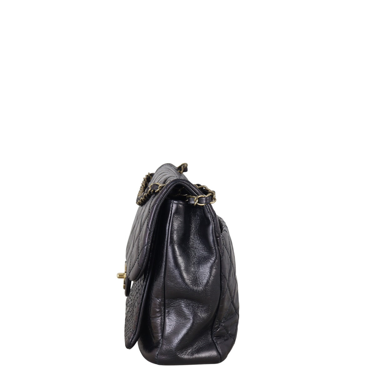 Chanel Urban Mix Flap Bag Python