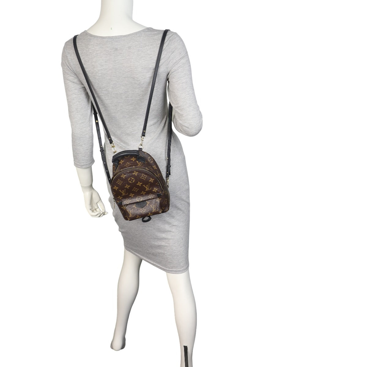 Louis Vuitton Palm Springs Mini Backpack Monogram