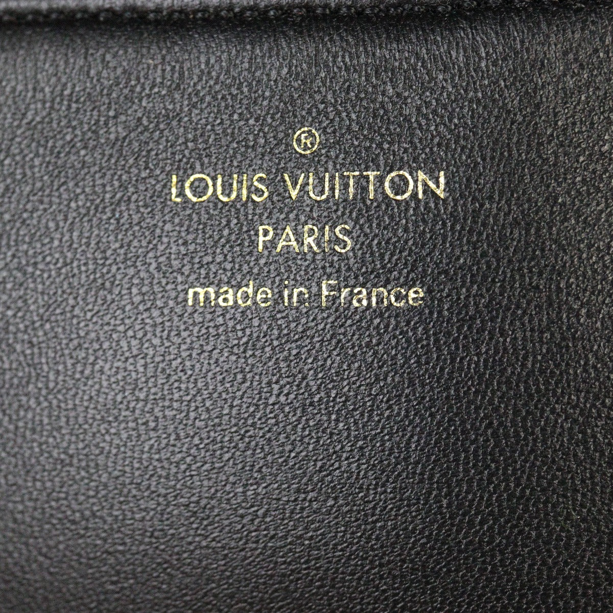 Louis Vuitton Coussin Monogram Embossed Lambskin Belt Bag