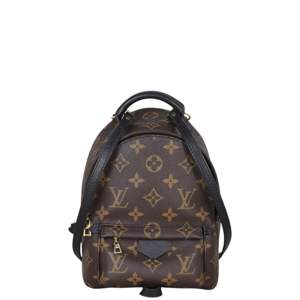 Louis Vuitton Palm Springs Mini Backpack Monogram