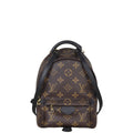 Louis Vuitton Palm Springs Mini Backpack Monogram
