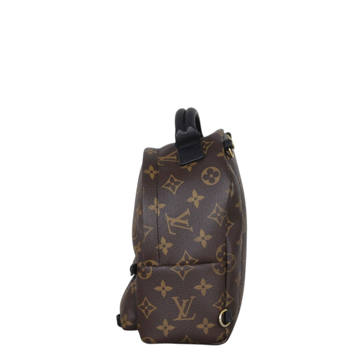 Louis Vuitton Palm Springs Mini Backpack Monogram