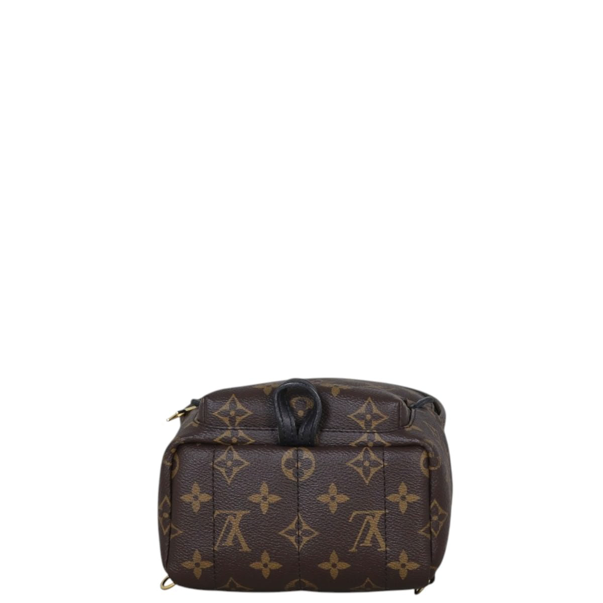 Louis Vuitton Palm Springs Mini Backpack Monogram