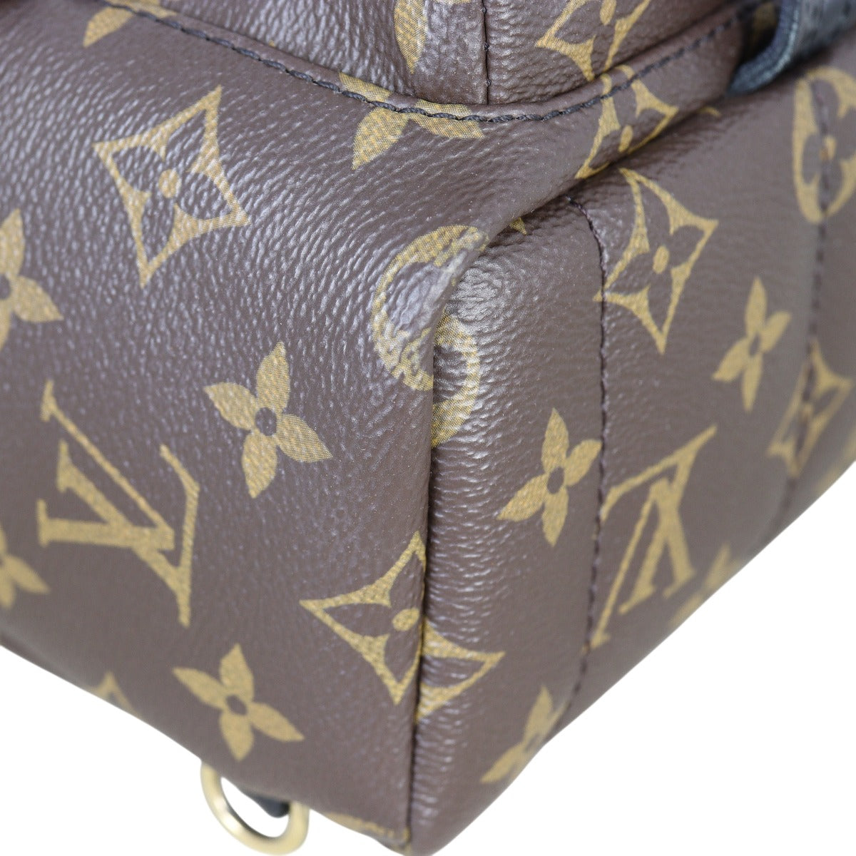 Louis Vuitton Palm Springs Mini Backpack Monogram