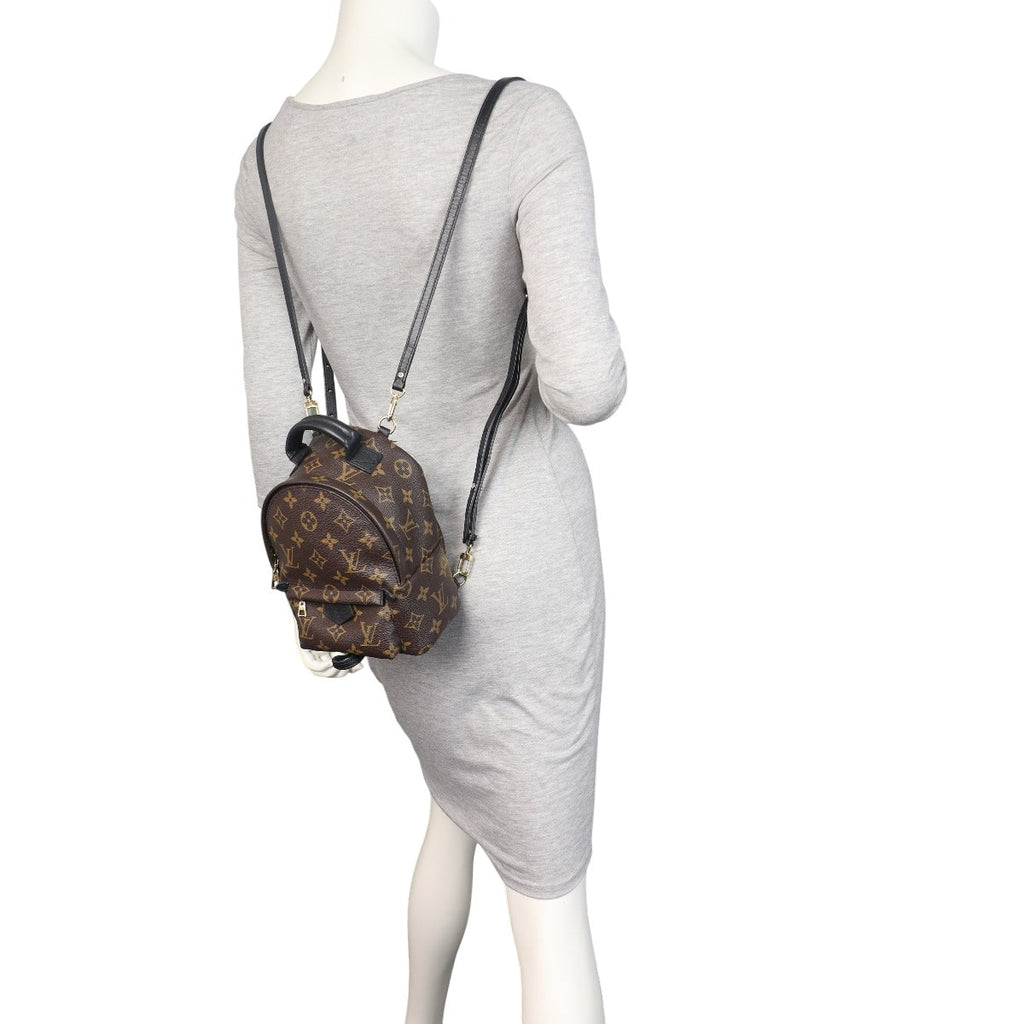 Louis Vuitton Palm Springs Mini Backpack Monogram