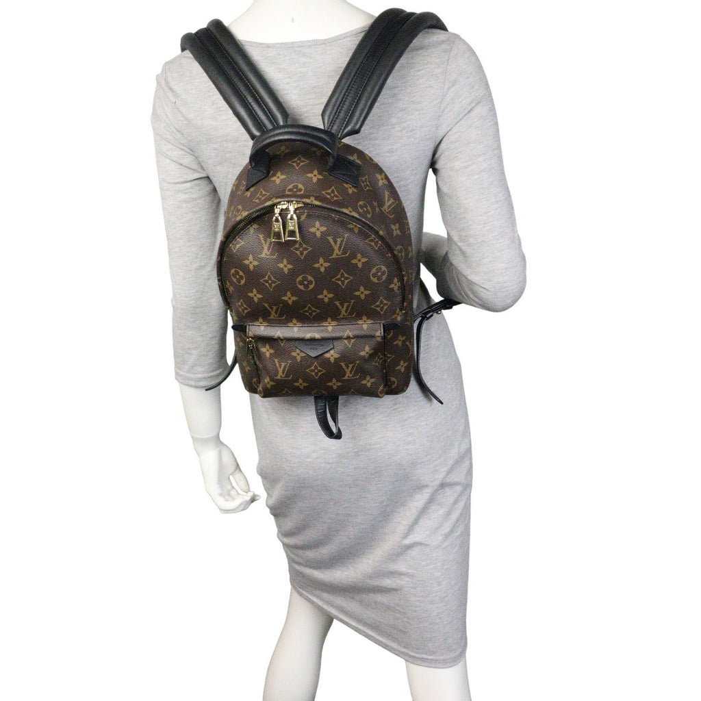 Louis Vuitton Palm Springs Backpack PM Monogram