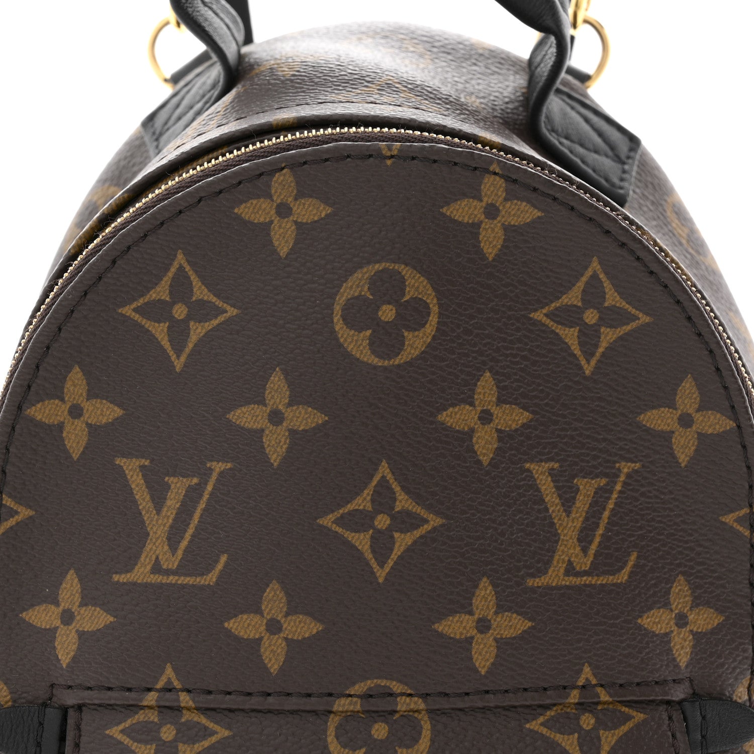 Monogram Palm Springs Backpack Mini
