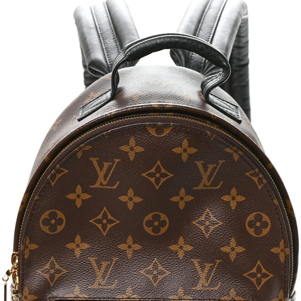 Monogram Palm Springs Backpack PM