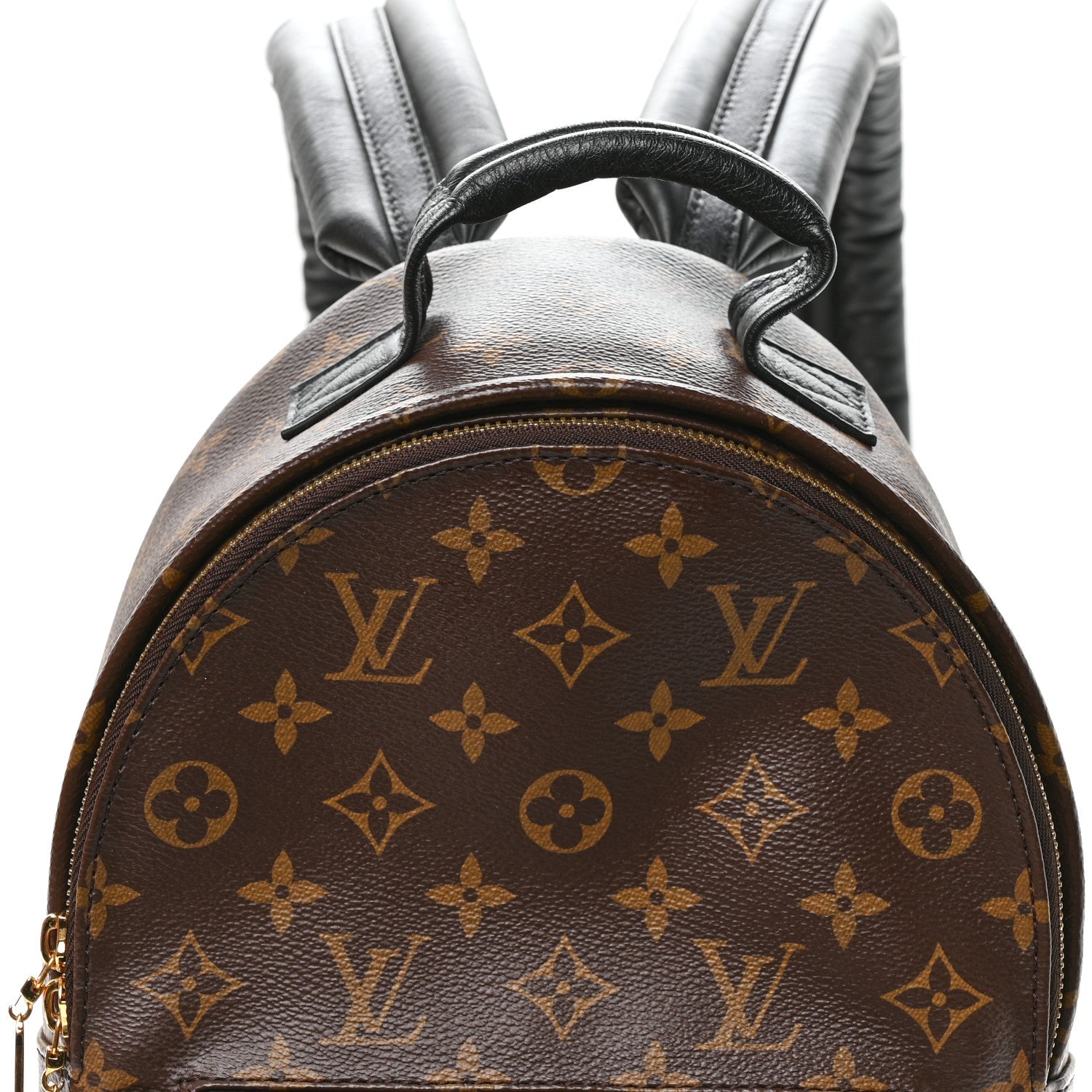 Monogram Palm Springs Backpack PM