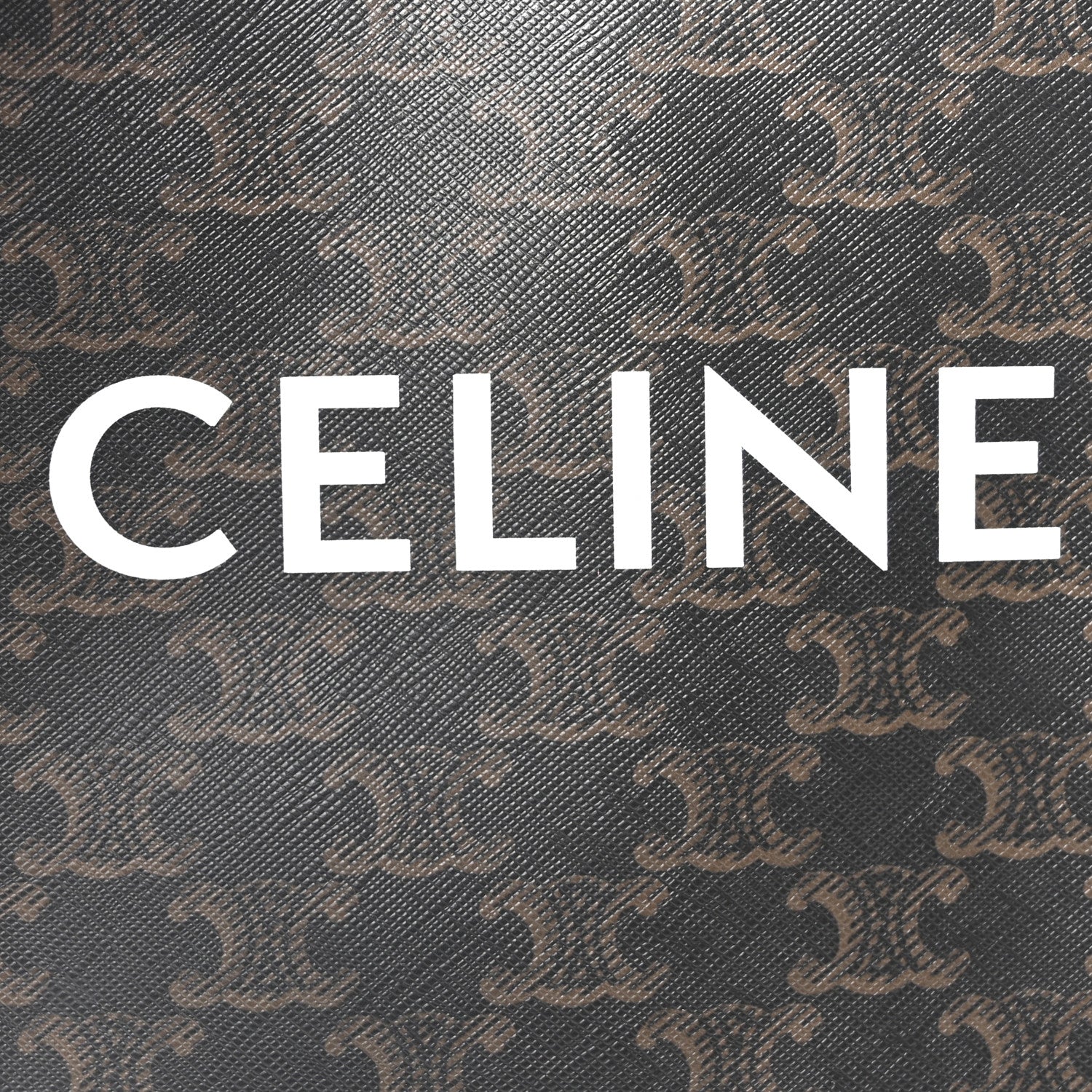 Triomphe Canvas Calfskin Mini Vertical Cabas Tan
