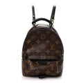 Monogram Palm Springs Backpack Mini