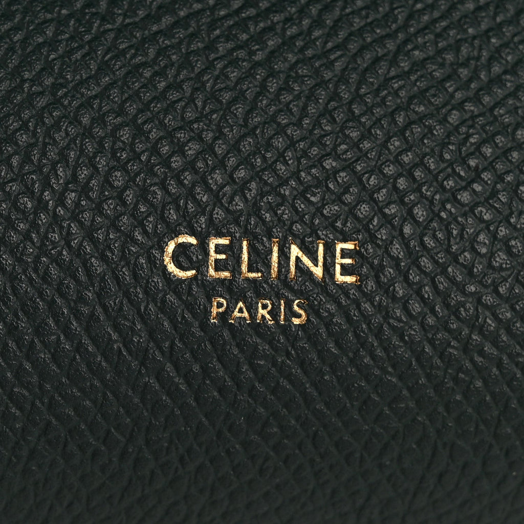 Grained Calfskin Micro Belt Bag Amazone