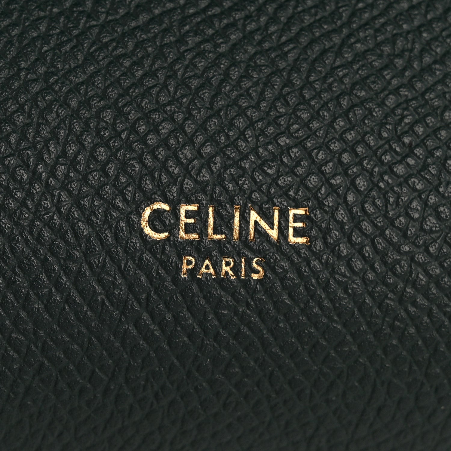 Grained Calfskin Micro Belt Bag Amazone