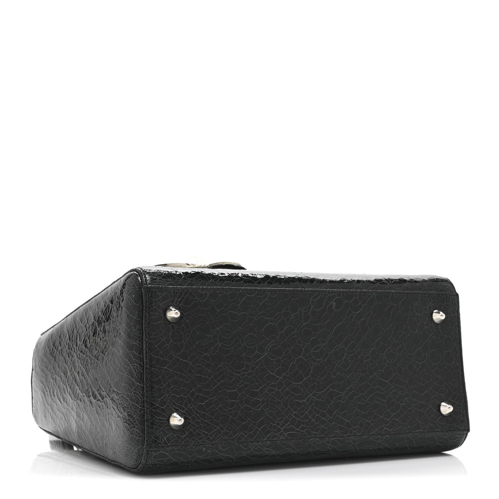 Ceramic Effect Deerskin Jeweled Swan Lady Dior Black