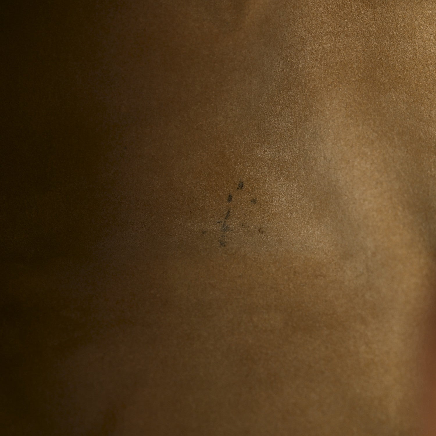 Monogram Galliera PM