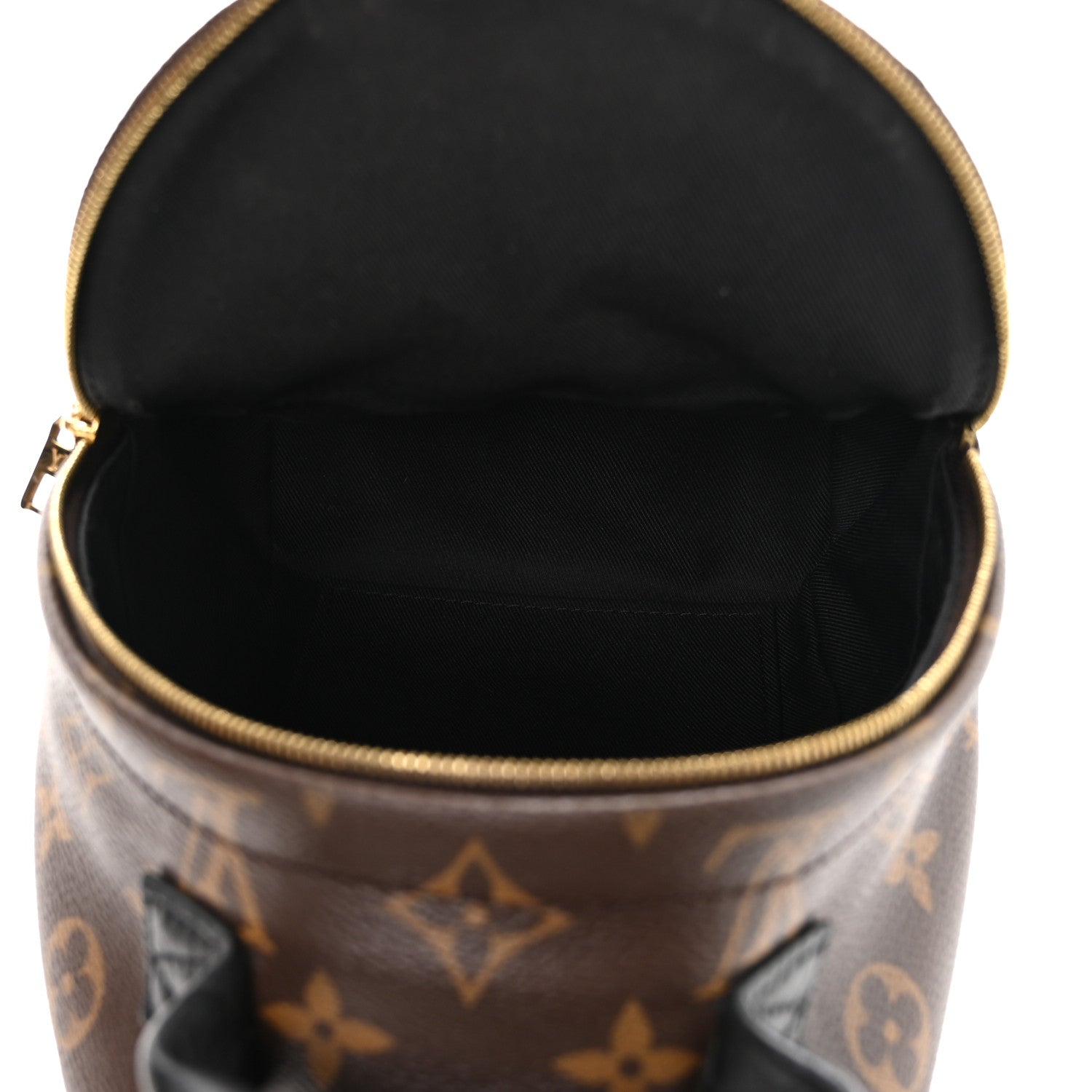 Monogram Palm Springs Backpack Mini