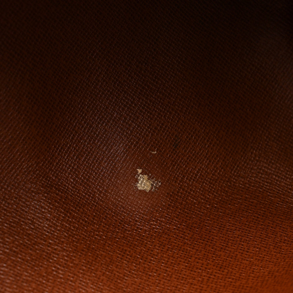 Monogram Papillon 30 with Companion
